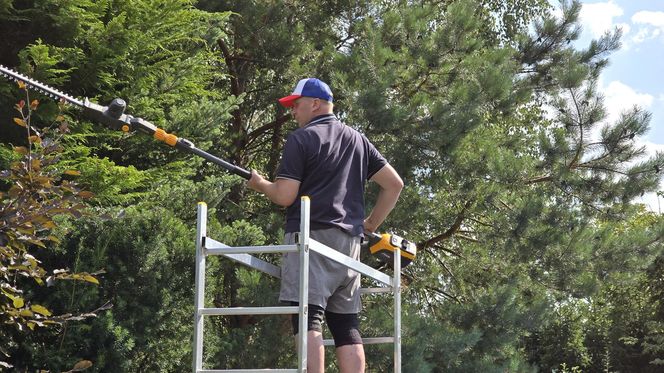 Wczasy po Polsku wiceprezesa Czarnka
