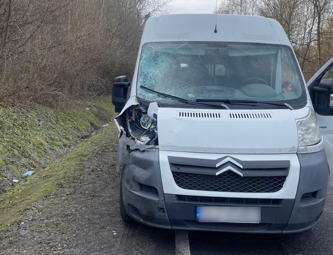 Śmiertelne potrącenie rowerzysty w gminie Kłomnice. Mężczyzna zmarł mimo reanimacji