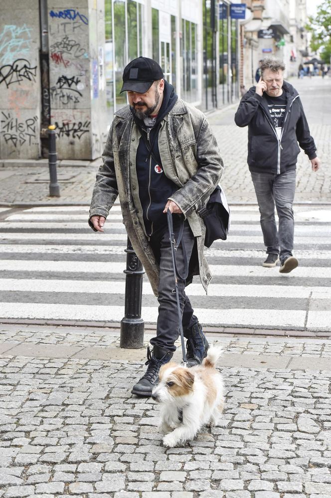 Te psy skradły serca gwiazd! 