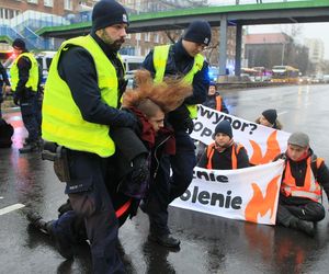 Ostatnie Pokolenie zablokowało Wisłostradę. Furia kierowców. Matka chorego dziecka błagała o przejazd