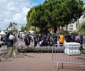 Dramat na festiwalu w Cannes! Producent uderzony przez palmę trafił do szpitala 