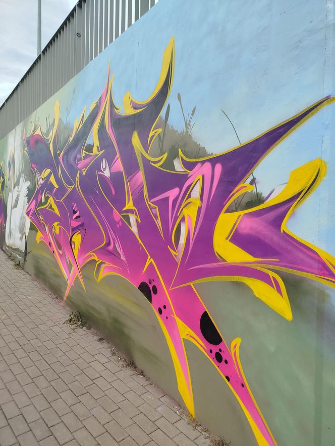 Kolorowe grafiki w siedleckim tunelu pod torami