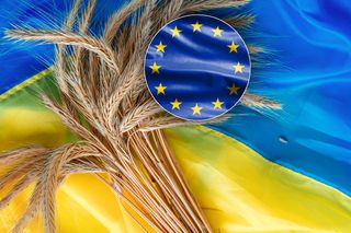  Bruksela uderza w czuły punkt Zełenskiego! Tego Ukraina się nie spodziewała 