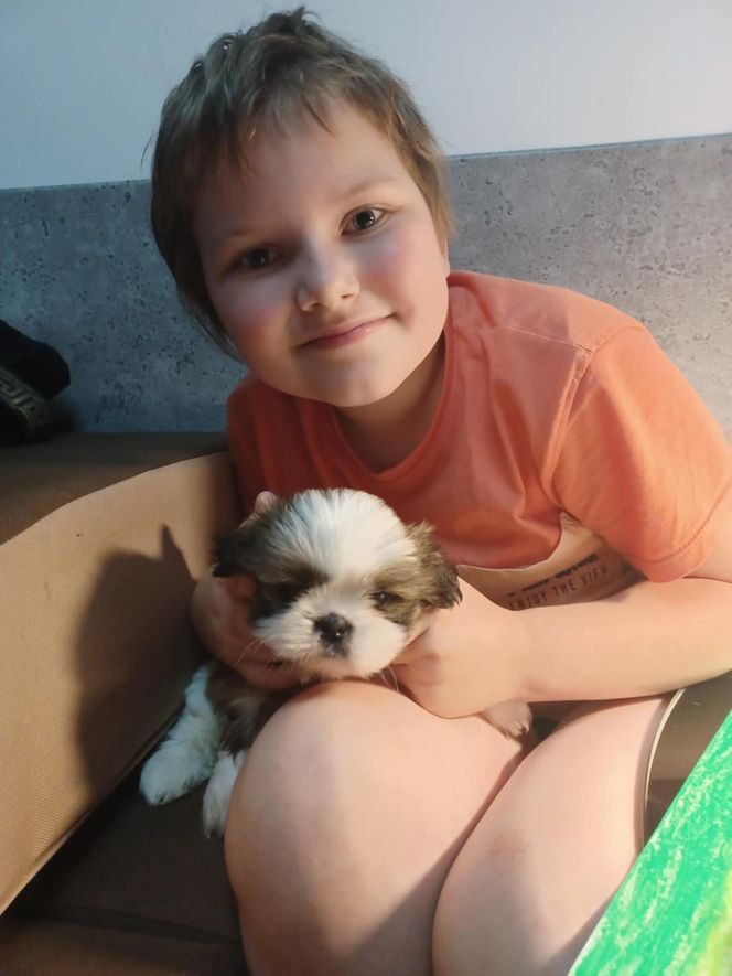 Krzyż runął na 5-letnią Marysię! Cudem przeżyła, a winnych wciąż brak