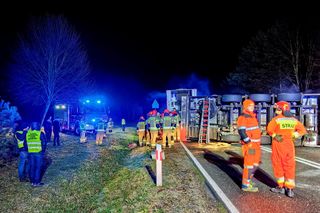 Wypadek tira na drodze krajowej nr 70. Zginęło kilkadziesiąt świń [ZDJĘCIA].