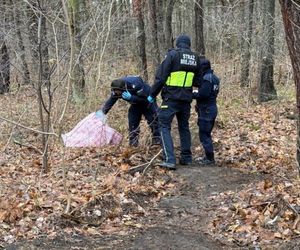 Zatrzymali podejrzanego mężczyznę i tajemniczą torbę. Zaskakujące odkrycie w środku lasu