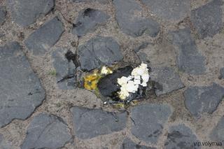 Komorowski zaatakowany jajkiem na Ukrainie [KRÓTKO]
