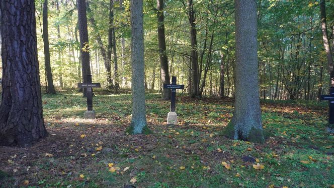 Zapomniany cmentarz wojskowy położony w środku lasu. Pochowano tam około 800 niemieckich żołnierzy [ZDJĘCIA]