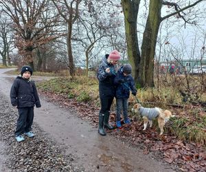 Bieg z seniorkiem - akcja schroniska w Hnerykowie dla podopiecznych psów