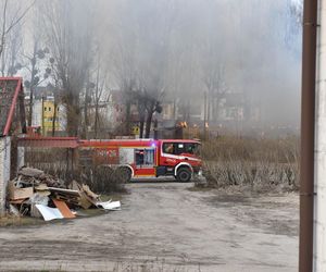 Pożar pustostanów przy ul. Grudziądzkiej w Toruniu. To nie pierwszy raz!