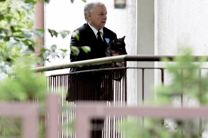 Jarosław Kaczyński uwielbia koty