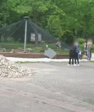 Szokujące sceny w zoo! Dziecko zjeżdżało po wybiegu, rodzice na wszystko patrzyli