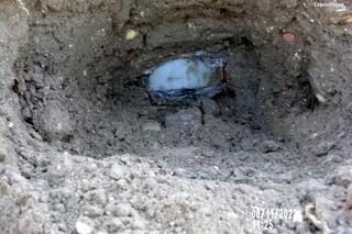 Nielegalne składowisko odpadów w Bieruniu