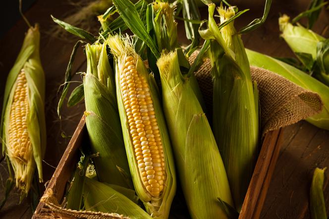 Kukurydza: wartość odżywcza zboża bez glutenu