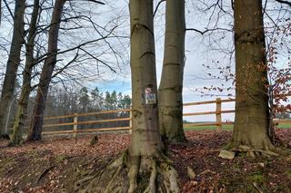 Florianka w Roztoczańskim Parku Narodowym 