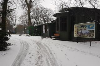 ZOO Toruń zaprasza!