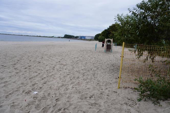 Jedyne takie miejsce na plażowej mapie Gdańska. Właściciele psów powinni o nim wiedzieć!