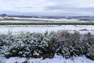 Śnieg w Małopolsce. Zima przyszła wyjątkowo szybko