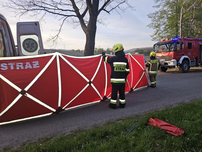 Na prostej zjechał z drogi i uderzył w drzewo