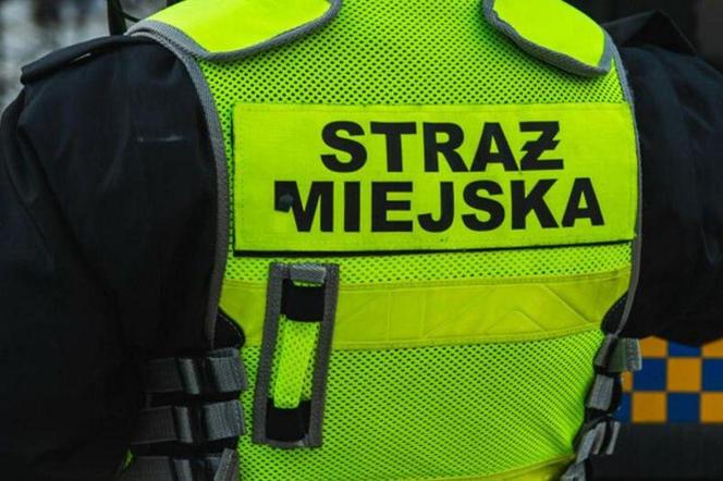 Śląskie: Zwyzywał strażników miejskich z Katowic. Teraz musi im a to zapłacić. Kwota powala