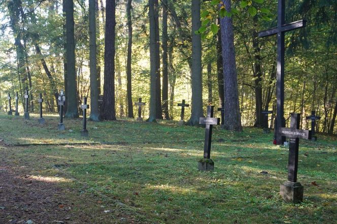 Zapomniany cmentarz wojskowy położony w środku lasu. Pochowano tam około 800 niemieckich żołnierzy [ZDJĘCIA]