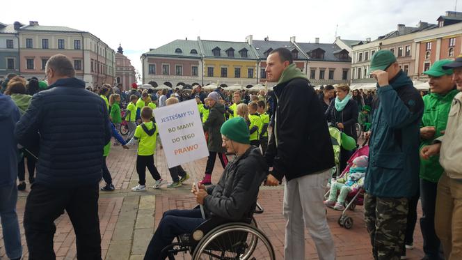 "I love green" na Rynku Wielkim w Zamościu