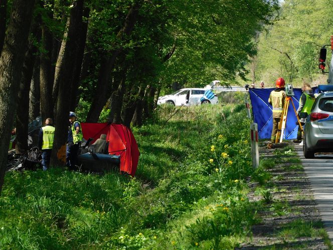 Tragiczny początek majówki na Mazowszu. Nie żyją dwie osoby. Jaguar uderzył w drzewo 