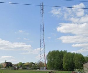 Damian został znaleziony martwy po policyjnym pościgu. Co wydarzyło się w okolicach Szczercowa?