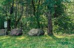 Białystok buduje Park Bioróżnorodności