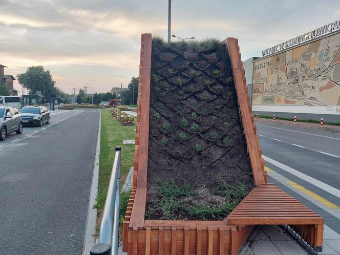 Kolejne 22 tysiące na zielone wiaty w Starachowicach