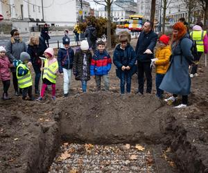 Plac Trzech Krzyży - drzewa mają swoich patronów 