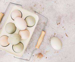 Araukana, kura znosząca kolorowe jajka: pochodzenie, wygląd, przydatność