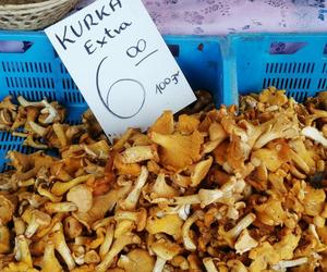 Ile kosztują grzyby w Krakowie? Ceny na targowiskach przyprawiają o zawrót głowy
