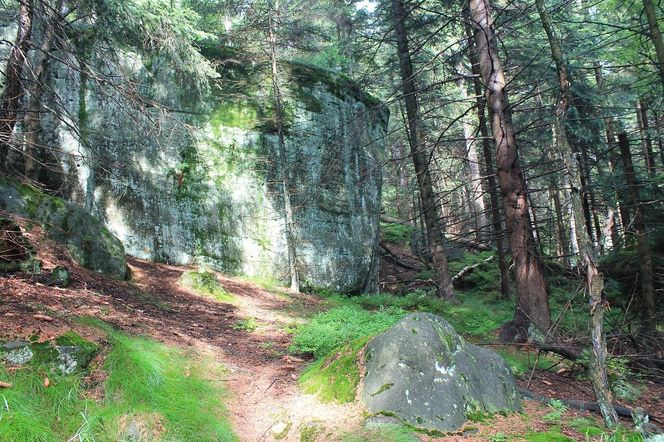 Błędne Skały to polska wersja Bryce Canyon. Są zaledwie kilka godzin od Wrocławia