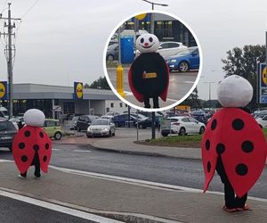 Otwarcie Lidla w gminie Czerwionka-Leszczyny i... biegające biedronki konkurencji? Wojna dyskontów przeniosła się na ulicę