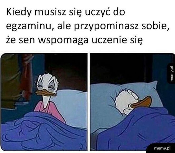 Egzamin ósmoklasisty 2025 r. - memy