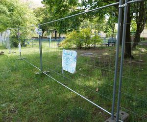 Ogrodzony plac zabaw na Winogradach