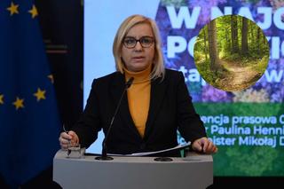 Zakaz wycinki lasów pod Wrocławiem. Sprawdź, gdzie obowiązuje