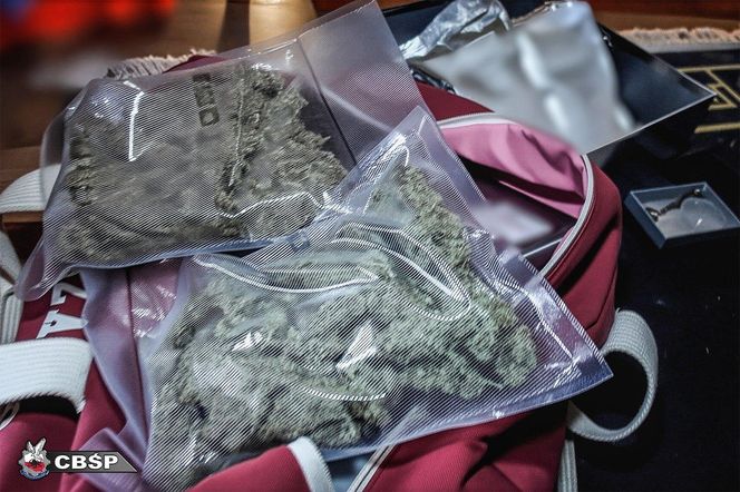 Groźny gang narkotykowy rozbity na Mazowszu. Dziennie sprzedawali nawet kilkaset działek