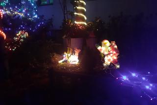Tysiące świątecznych lampek i ozdób. Jedyny taki blok w Toruniu [WIDEO, ZDJĘCIA, AUDIO]