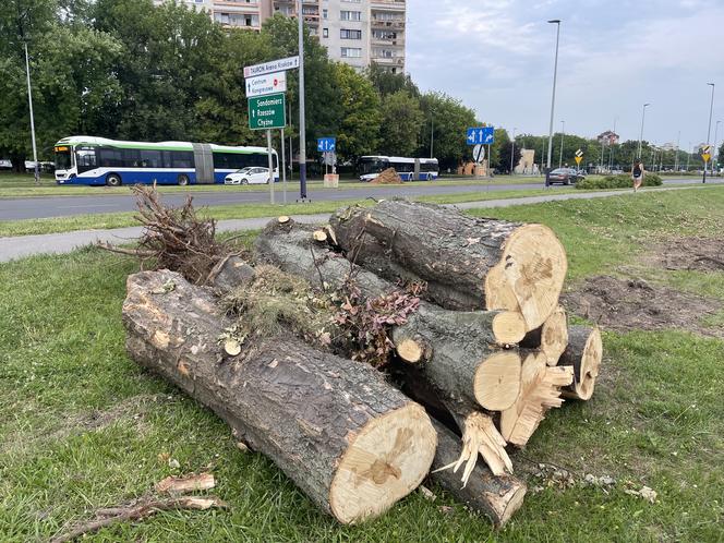 Protest mieszkańców przeciwko wycince drzew pod budowę linii tramwajowej do Mistrzejowic.