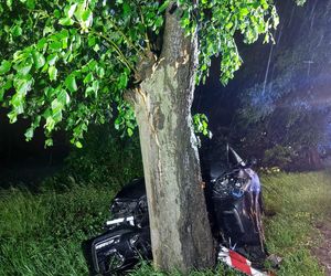 Kierujący BMW wjechał w drzewo