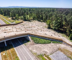 S1 Oświęcim - Dankowice jest gotowa, ale GDDKiA zastanawia się, kiedy ją otworzyć