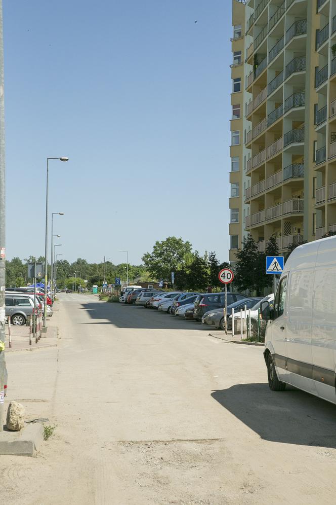 Chrząszcz blokuje budowę drogi