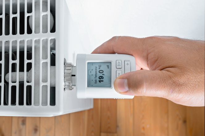 Smart home