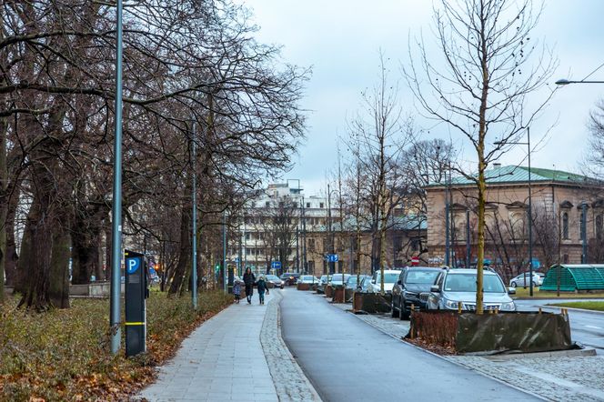 Zielona Marszałkowska między placem Bankowym a ul. Królewską