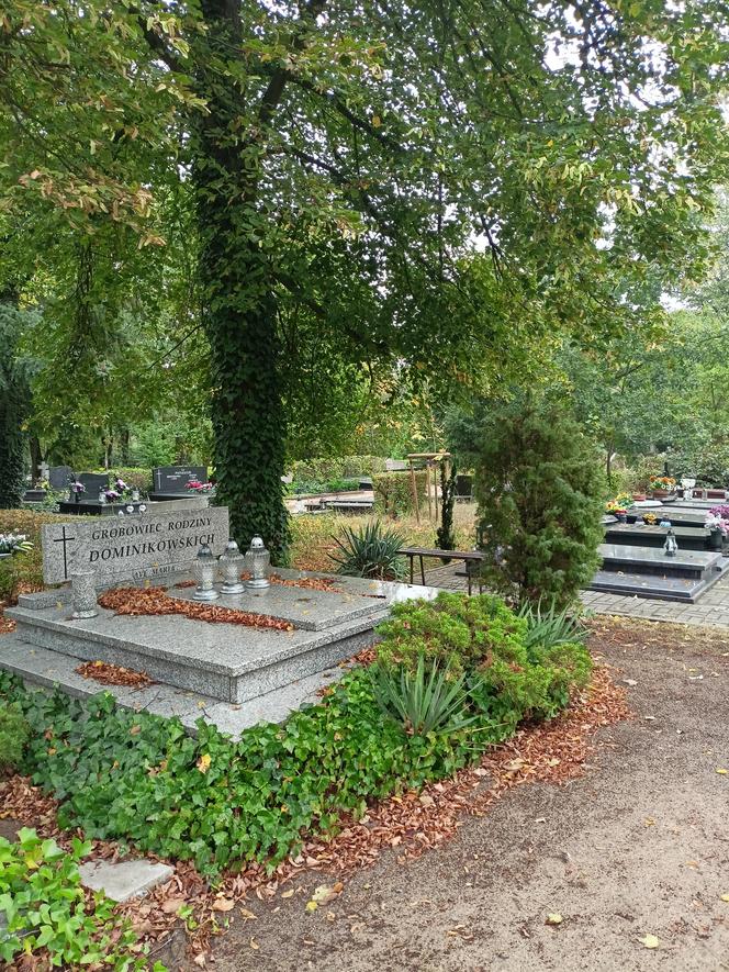 Cmentarz Junikowo Poznań
