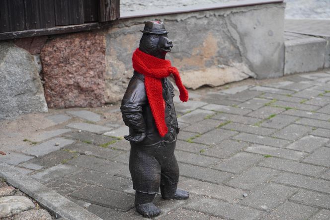 WidziMisie w Białymstoku gotowe na zimę