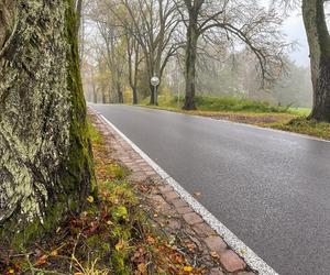 Pancerny Zbyszek miał furę szczęścia. Przysnąłem i palnąłem w drzewo