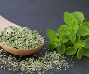 Majeranek ogrodowy: właściwości i zastosowanie 